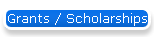 Grants / Scholarships