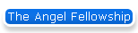 The Angel Fellowship
