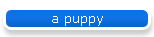 a puppy